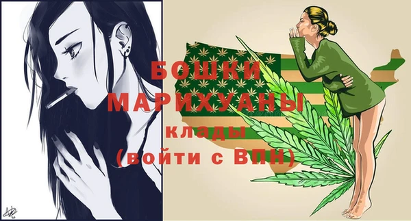 тгк Бронницы