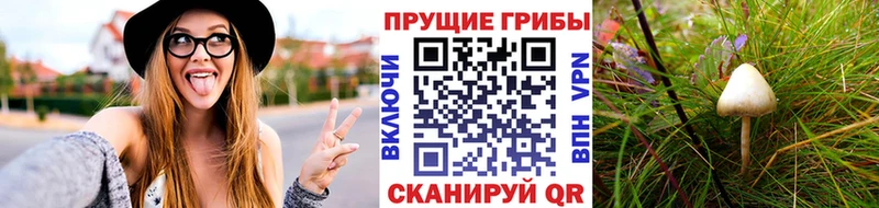 Галлюциногенные грибы мицелий  Новохопёрск 